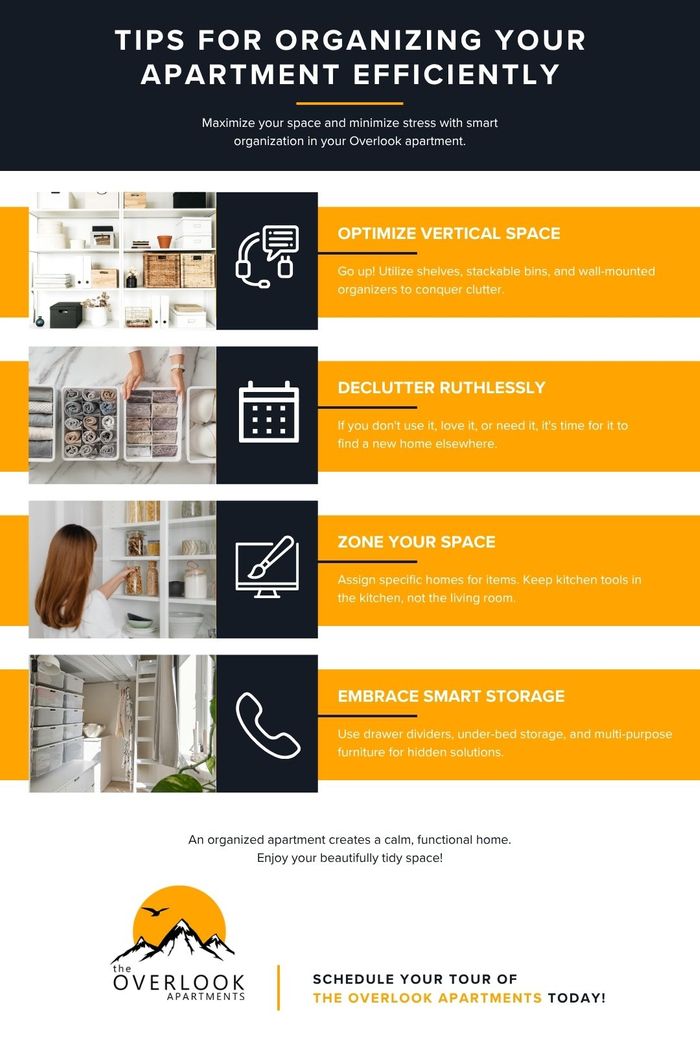 M311168 - Tips for Organizing Your Apartment Efficiently - Infographic.jpg