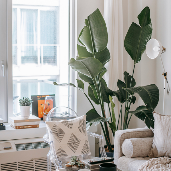How to Create a Cozy and Inviting Atmosphere in Your Apartment4.png