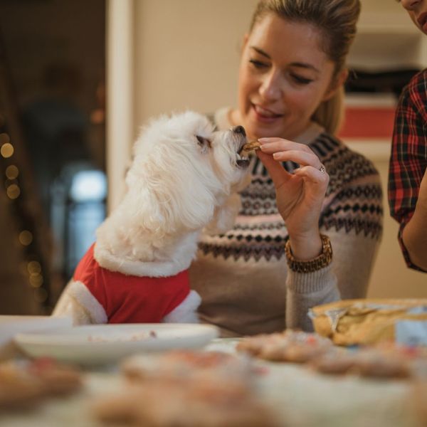 woman feeding a little dog