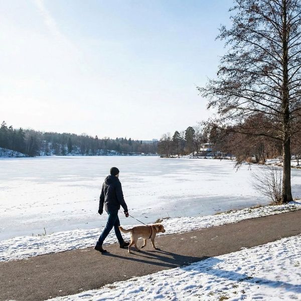 person talking dog for a walk around a lake