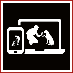 dog training on the icon of a phone and laptop