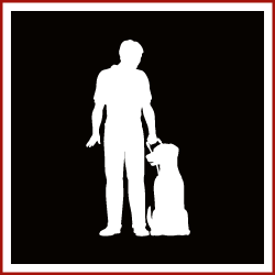 icon of training dog to sit