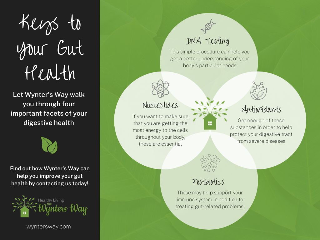 Keys to Your Gut Health