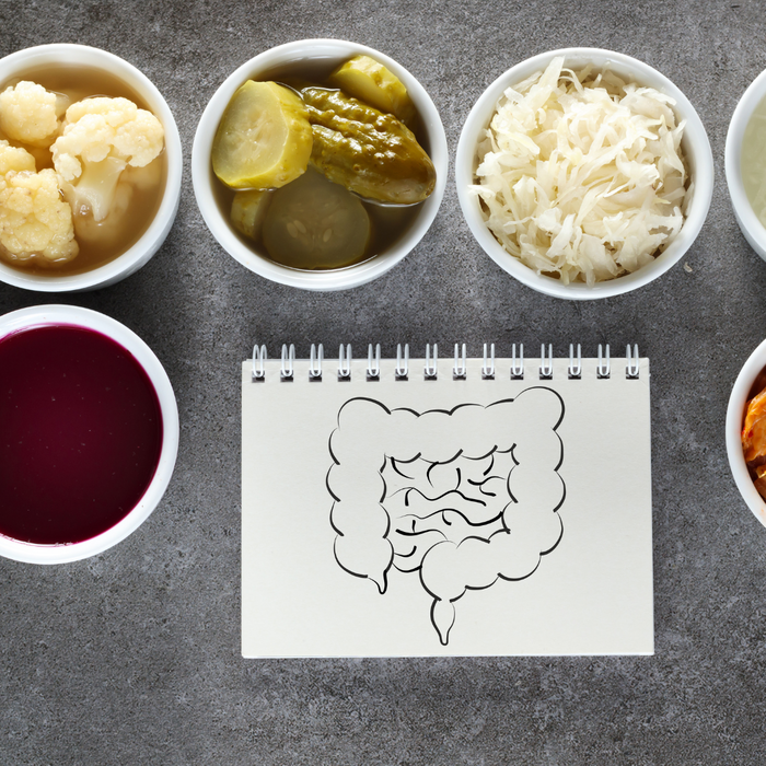 foods in bowls with illustration of gut
