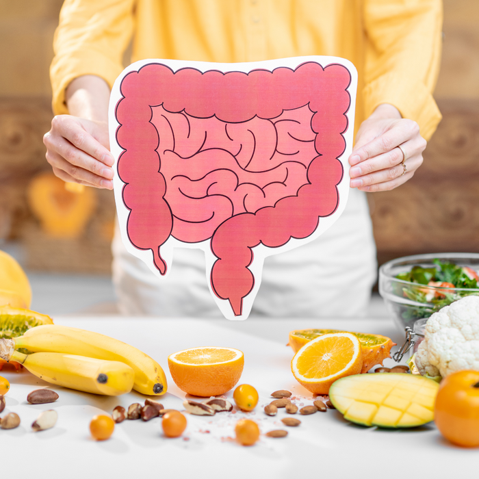 chef with fruit and illustration of gut