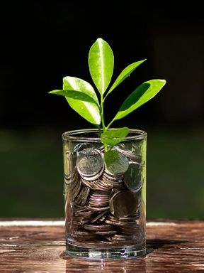 Retirement Investment Management