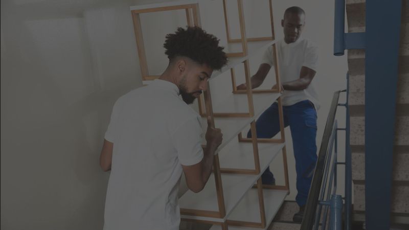 professional junk removers