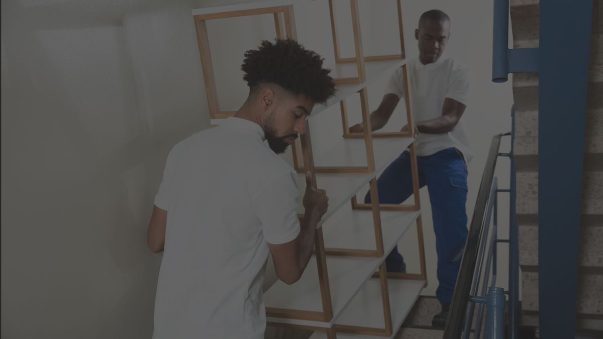 professional junk removers