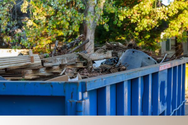 backyard cleanout of branches and other junk