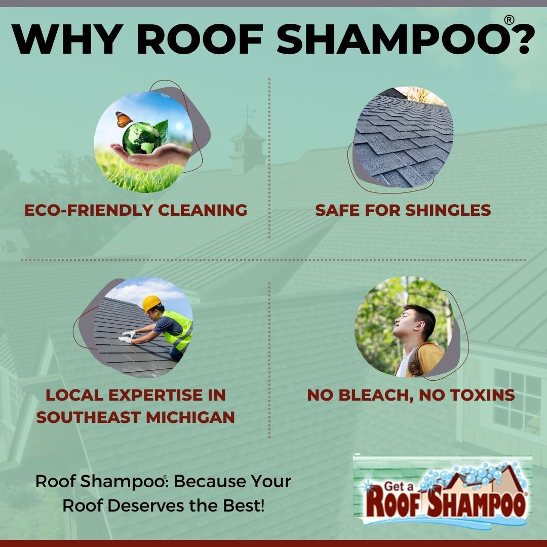 M51606 - Infographic - Why Roof ShampooREV-1.jpg