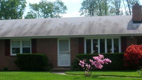 roof with stains