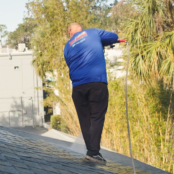 roof cleaning