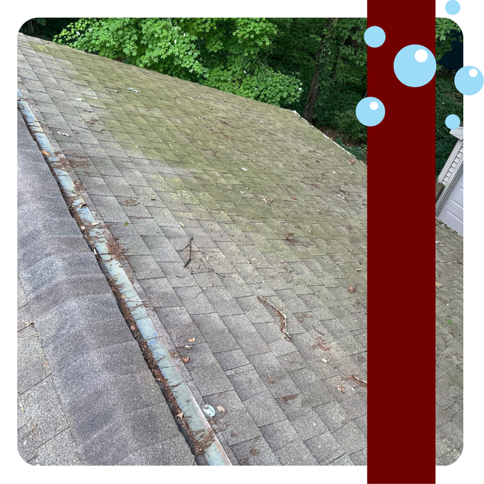 Property Management Roof Cleaning.png