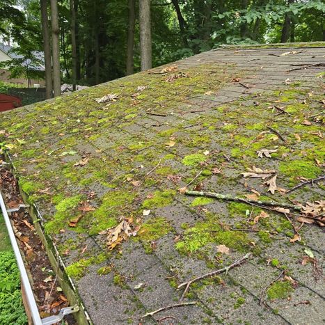 Common Misconceptions About Roof Cleaning Debunked3.jpg