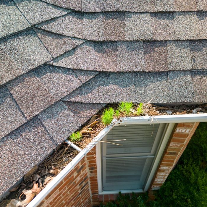 debris in gutters