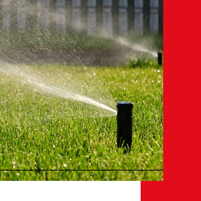 A sprinkler watering a yard