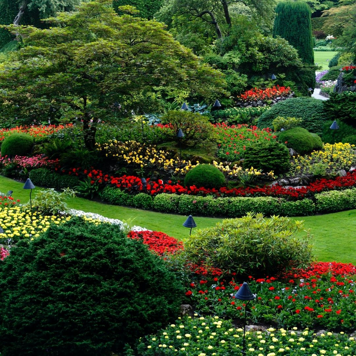 landscaped garden