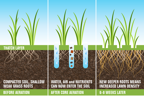 aeration-in-wimington-ma.png