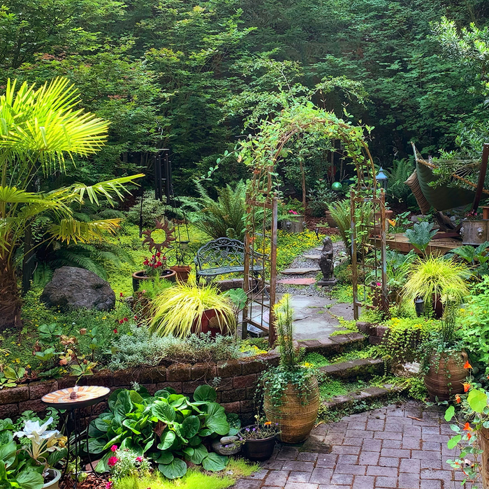 a mature garden