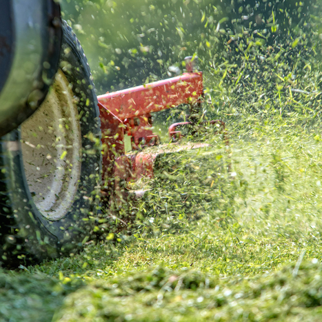 Close-up view of a lawn mower in action.