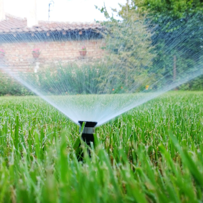 sprinkler working