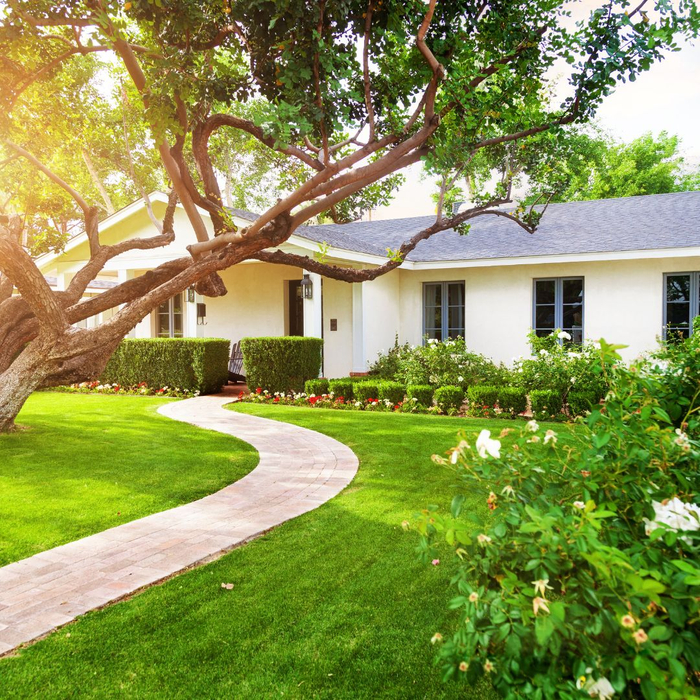 front house landscaping