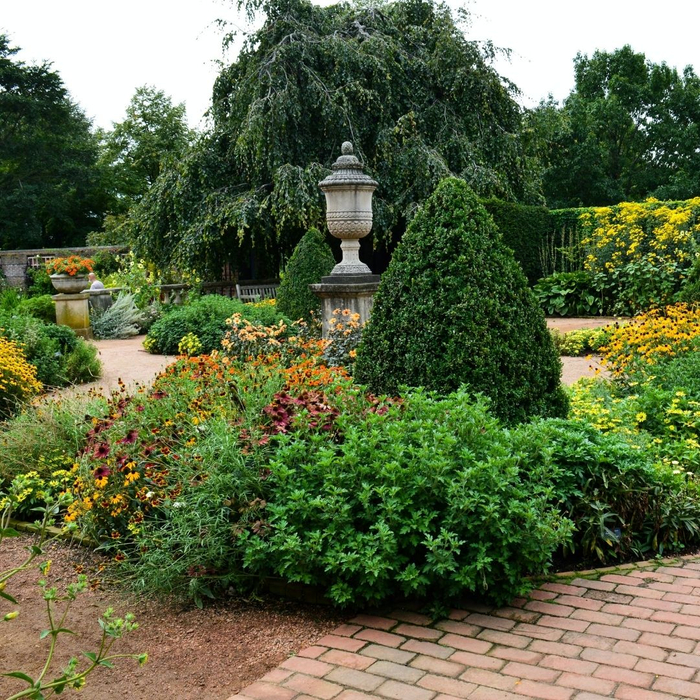 landscaped garden area