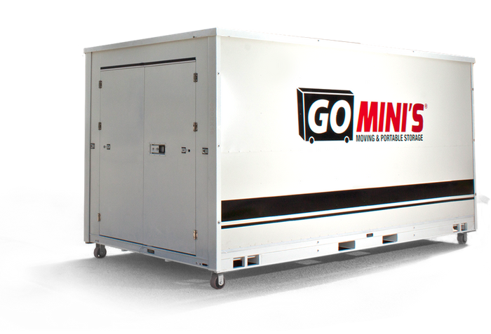 Go Mini's Pod