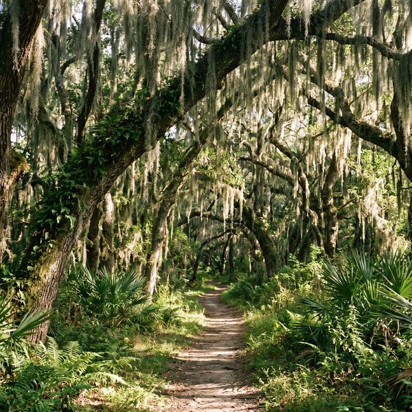 Blog ImagesArtboard 1.jpg