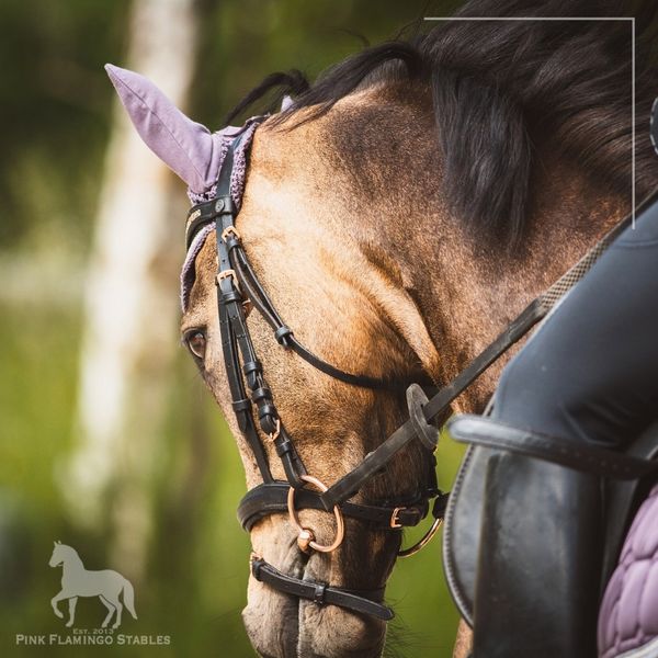 IMG 2 - How to Form Individual Goals in Horseback Riding.jpg