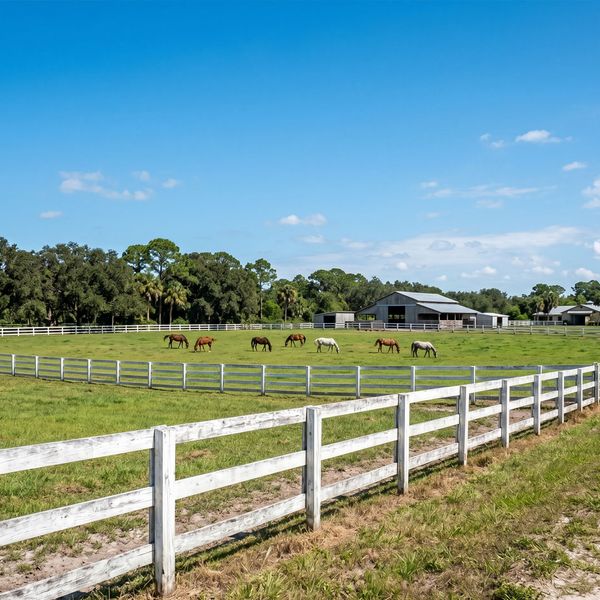 Blog ImagesArtboard 2.jpg