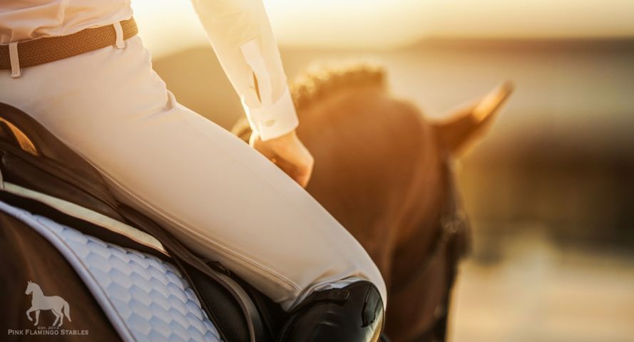 Hero - How to Form Individual Goals in Horseback Riding.jpg