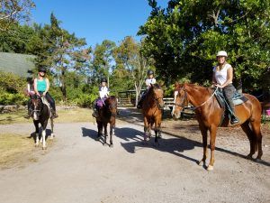 horseback riders looking at camera