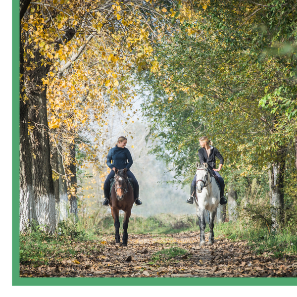 Benefits of Horseback Riding for Your Mind, Body, and Soul 2.png