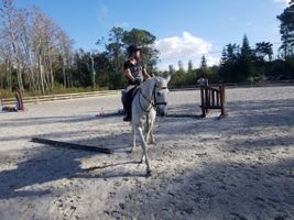 girl taking horseback riding lessons