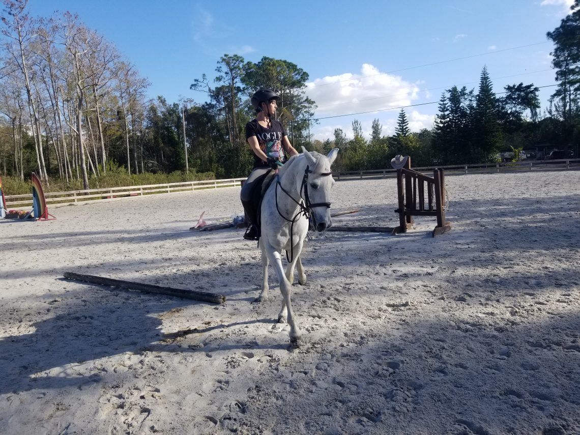girl taking horseback riding lessons