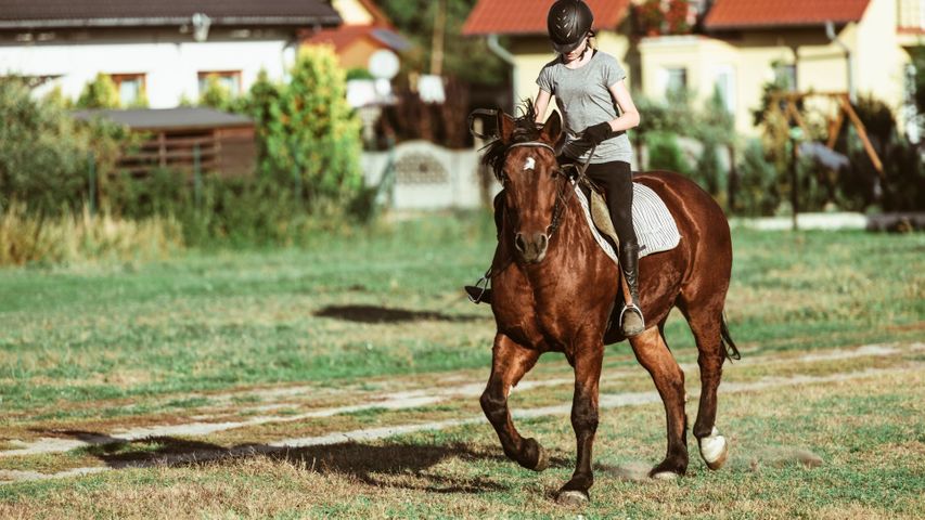 horse riding lesson