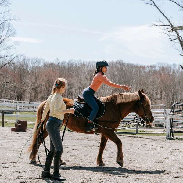 horse riding lesson