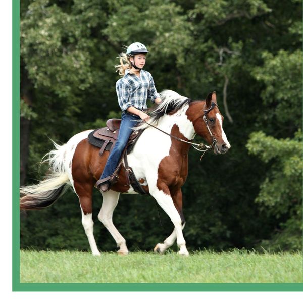 The Difference Between an Eastern and a Western Saddle 3.jpg