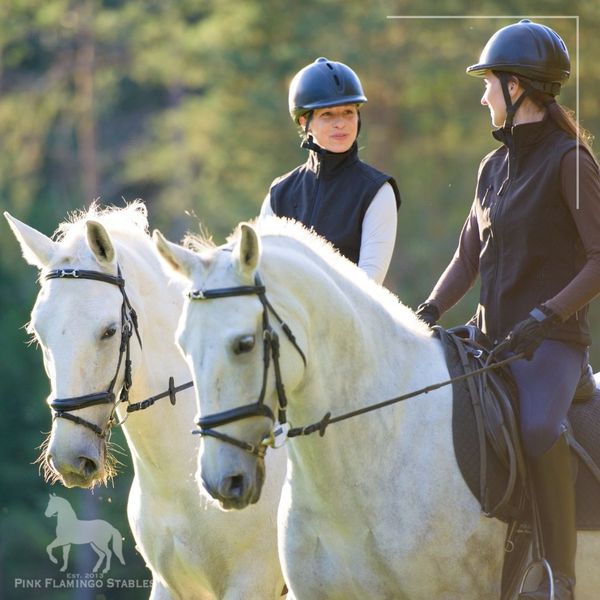 IMG 4 - Proper Riding Techniques.jpg