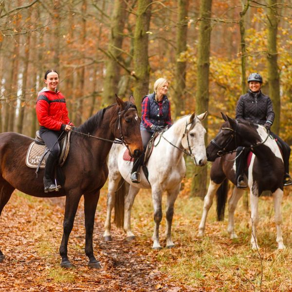 trail riding group