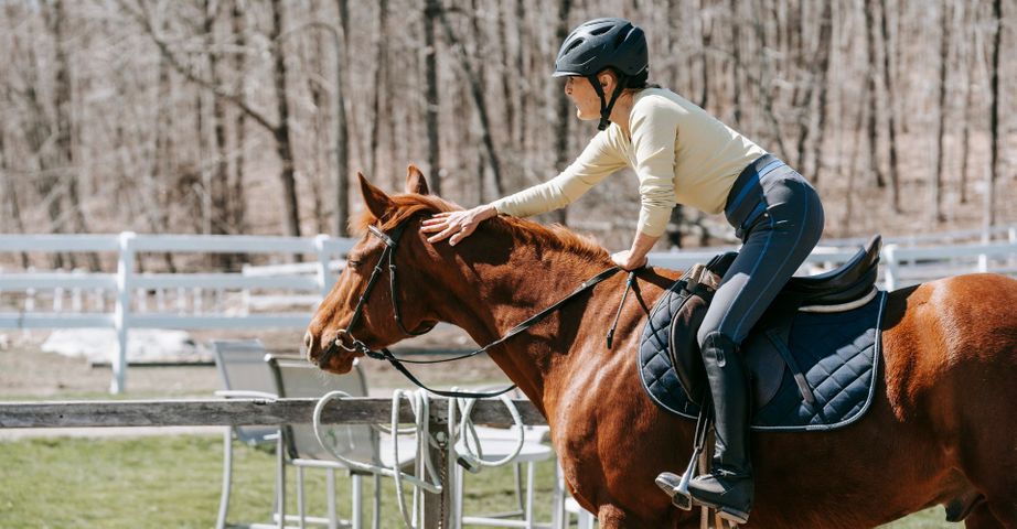 Exploring Different Horseback Riding Styles.jpg