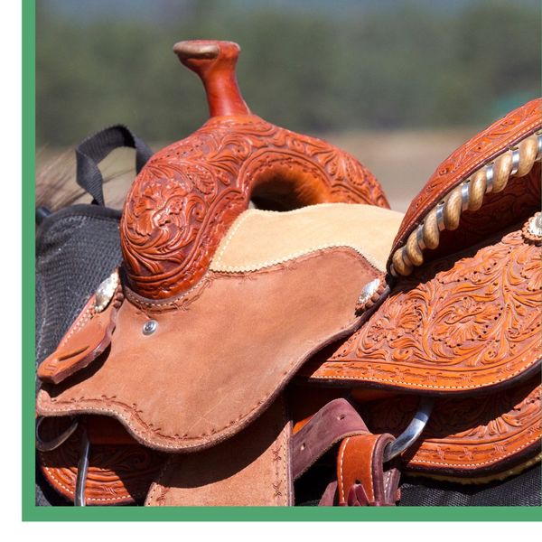 The Difference Between an Eastern and a Western Saddle 1.jpg