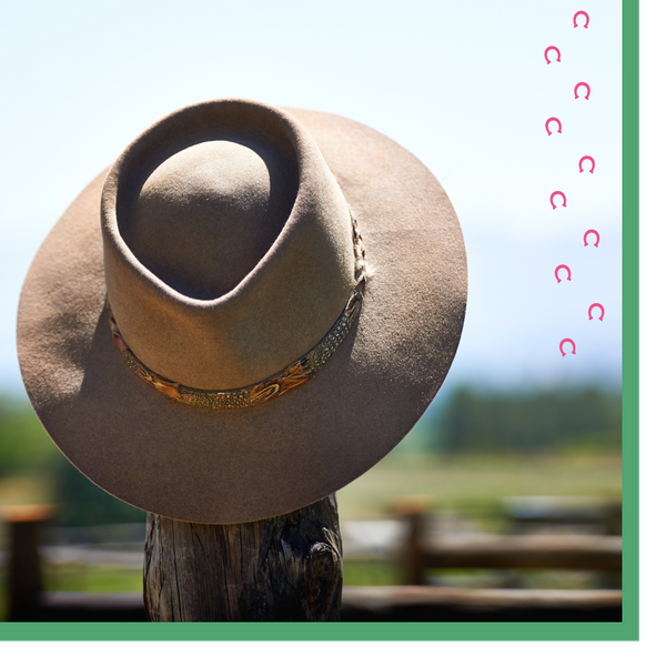 Horse riding hat.