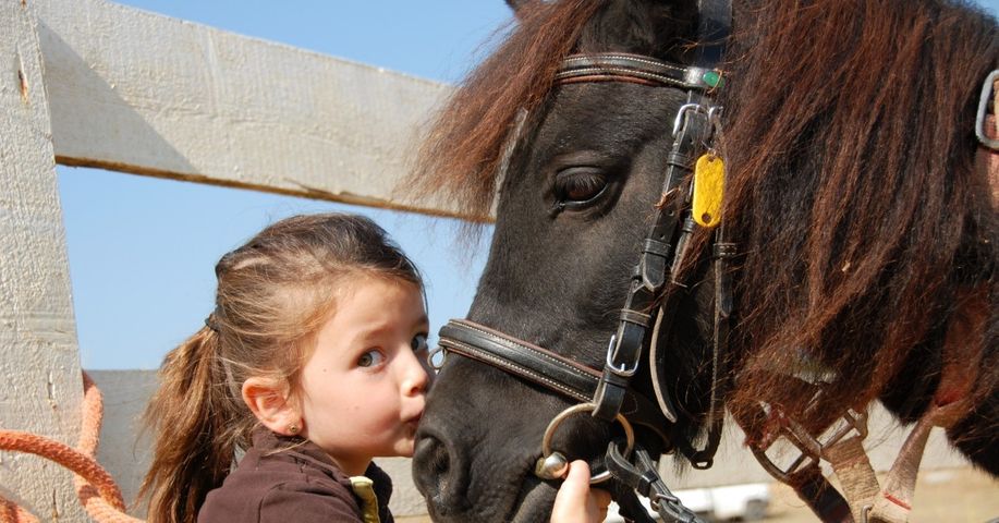 girl with a horse, looking at camera