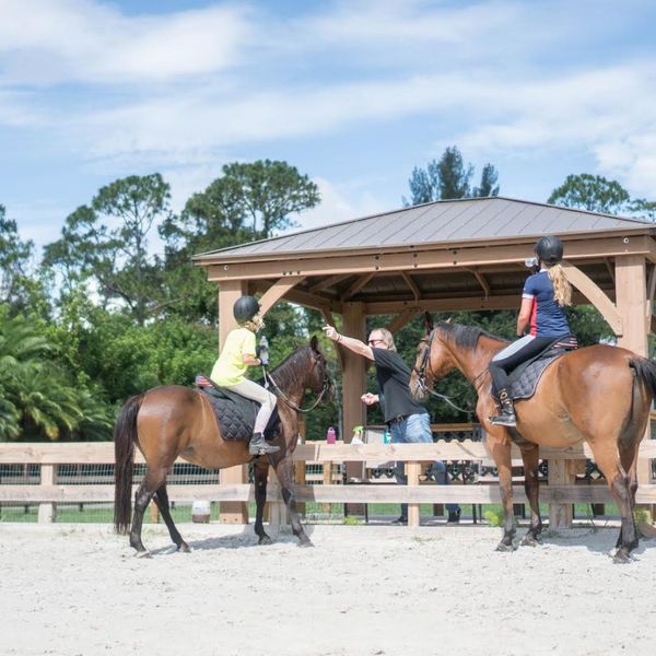 Questions to Ask Your Potential Horseback Riding Instructors - Image 2.jpg