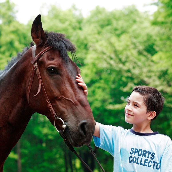 boy petting horse