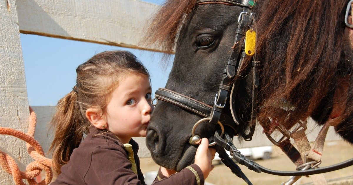 girl with a horse, looking at camera
