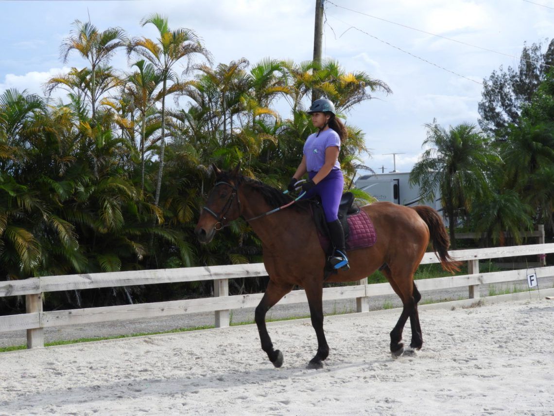girl with a horse girl with a horse