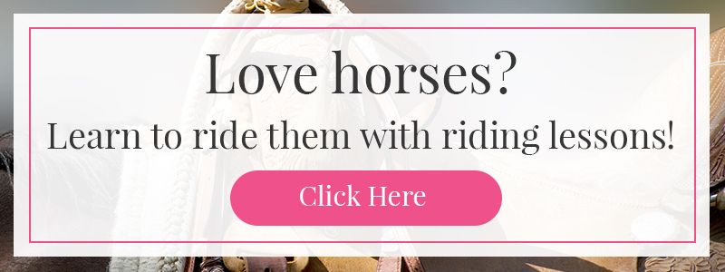 contact for lessons and rides info banner